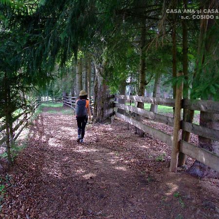 Casa Andrei Vatra Dornei Villa Dealu Floreni ภายนอก รูปภาพ
