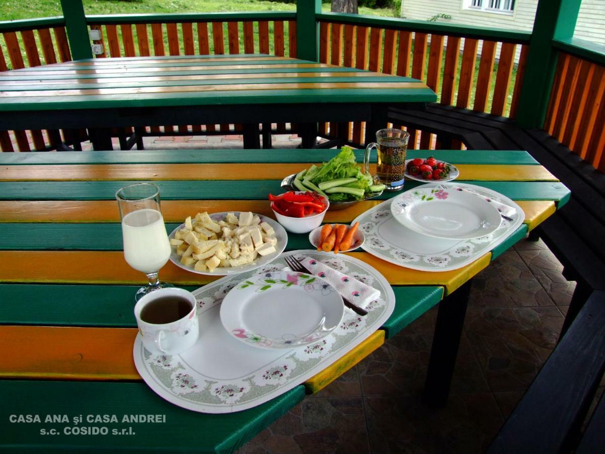 Casa Andrei Vatra Dornei Villa Dealu Floreni ภายนอก รูปภาพ