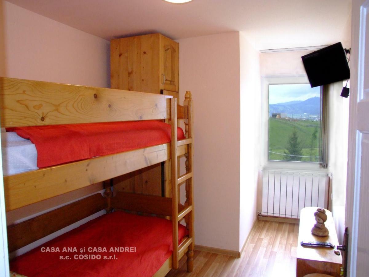 Casa Andrei Vatra Dornei Villa Dealu Floreni ภายนอก รูปภาพ